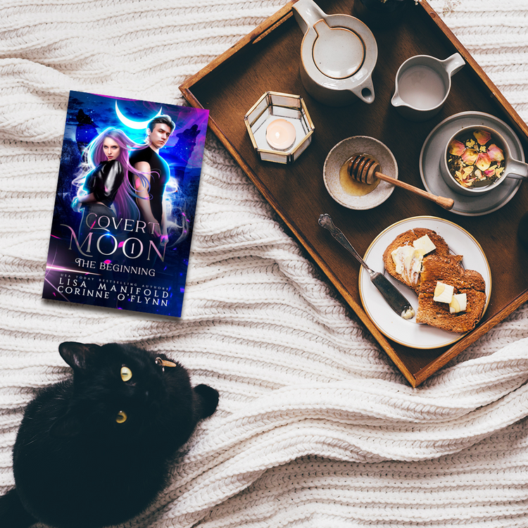 The Beginning (Covert Moon #1)
